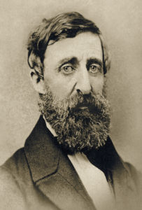 Romantic period summary image